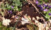 Trail Walking Villers-Saint-Martin - Villers st Martin Trail Walking Villers-Saint-Martin - Villers st Martin