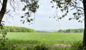 Randonnée Marche Ormoy-le-Davien - 290422 - Boucle Ormoy le Davien - au dessus de Chavre - Photo 1