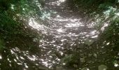 Trail Mountain bike Saint-Cergues - essai St cergues 22-07 - Photo 8