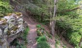 Trail Walking Stoumont - stoumont :  aller via corniche , retour via amblève - Photo 18