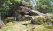 Tour Wandern Altweier - Roche du Tétras - Bilstein - Photo 10