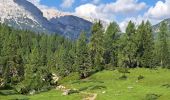 Excursión Senderismo Auronzo di Cadore - DOLOMITES 07 - Lavaredo - Mirusina - Photo 3