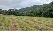 Trail Walking Le Lorrain - Boucle Morne Capot via La Pirogue - Photo 4