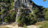 Tour Wandern Saignon - Saignon, Auribeau, Castellet & Rocher des Abeilles - Photo 2