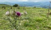 Trail Walking Jaxu - Du camping Borda Lodge - Jaxu - Photo 11