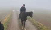 Tour Reiten Beauraing - Wancennes-Tanville - Photo 6