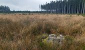 Tocht Stappen Malmedy - cascade du bayon  - rando malmedy 1 - Bambi rouge  - Photo 12