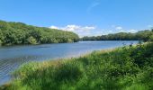 Randonnée Marche Glomel - Tour de l'etang du Corong depuis Mézouët - Photo 10