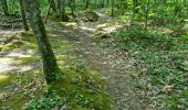 Trail Walking Vendôme - Randonnée dans le Bois de l'Oratoire à Vendôme  - Photo 18