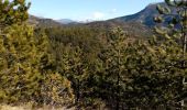 Trail Walking Saillans - Le Serre des 3 Bornes - Photo 4