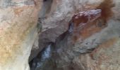 Tour Wandern La Ciotat - la Ciotat grotte Fardeloup - Photo 19