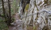 Trail Walking Le Valtin - Col de la Schlucht - sentier des Roches - Petit Honneck - Honneck - Trois Fours - Photo 9