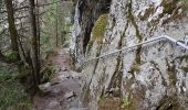 Percorso Marcia Le Valtin - Col de la Schlucht - sentier des Roches - Petit Honneck - Honneck - Trois Fours - Photo 9