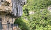 Trail Walking Talloires-Montmin - La cascade de angon et Le Pont des Fees - Photo 12