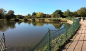 Percorso A piedi Rushcliffe - Rushcliffe Country Park 10km Course - Photo 2