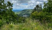 Tour Wandern Murol - La Dent du Marais - Photo 4