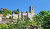 Tocht Stappen Château-Landon - Promenade à Château Landon et ses alentours - Photo 15