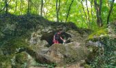 Randonnée Marche Gerpinnes - Balade dans le bois de Loverval - Photo 12