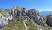 Percorso A piedi Zărnești - Cabana Plaiul Foii-La Lanțuri-Șaua Grindului - Photo 1