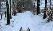 Trail Horseback riding Neufchâteau - Hamipré Croix de l’homme par LuxGreen - Photo 8