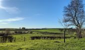 Randonnée Marche Fourons - entre Mouland et Fouron le Comte - Photo 19