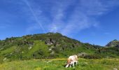 Trail Walking Untertauern - Seekarspitze - Photo 2