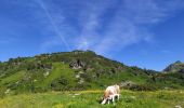 Tocht Stappen Untertauern - Seekarspitze - Photo 2