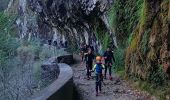 Tocht Stappen Cognin-les-Gorges - pied Aigu - Photo 1