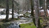 Trail Walking Bouvante - brudour-bournillon - Photo 4