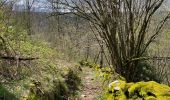 Trail Walking Florac Trois Rivières - Saint julien d’Arpaon - Photo 6