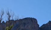 Percorso Marcia Roquebrune-sur-Argens - lac de l arena - roquebrune - Photo 9