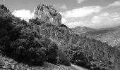 Excursión Senderismo Saint-Raphaël - Noir 1 (Partiel) : Col ND - Sommet des Petites Grues - Sommet des Grosses Grues - Col de la Cadière - Ravin de la Dent de l'Ours - Photo 11