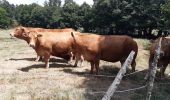 Percorso Marcia Peyre en Aubrac - le rocher du Cher - Photo 6