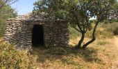 Trail Walking Conques-sur-Orbiel - Mur_aribaud_capitelles_réel - Photo 10