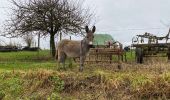 Tour Wandern Soignies - Neufvilles 16 km - Photo 1