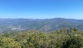 Trail Walking Saint-Étienne-Vallée-Française - Le Martinet - Photo 3