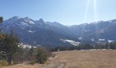 Trail Walking Barcelonnette - La Salce/Pisse Vin/ les allemands - Photo 1