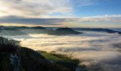 Tour Zu Fuß Gemeinde St. Georgen an der Leys - Melkursprung (St. Georgen an der Leys) - Photo 2