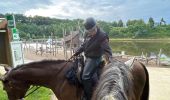 Trail Horseback riding Neufchâteau - Bois d’Ospot depuis les pompiers - Photo 8