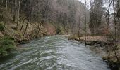 Tocht Stappen Bütgenbach - Viaduc et barrage lac Butenbach et la Warche - Photo 3