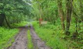 Trail Walking Gedinne - Vencimont 050624 - Photo 12
