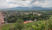 Tour Wandern Oberehnheim - 240628 - Obernai - VVF-Nordberg - Photo 2