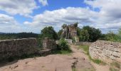 Tocht Te voet Nothweiler - Wegelnburg-Tour - Photo 2