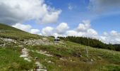 Percorso A piedi Westport-Belmullet Municipal District - Lough Aroher Loop - Photo 4