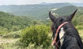 Trail Horseback riding Valle de Hecho - Siresa - Anso  - Photo 18