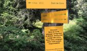 Trail Walking Marthod - La Dent de Cons en boucle - Photo 1