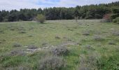 Trail Walking Caussols - De Caussols vers le sommet et le plateau de Calern - Photo 13