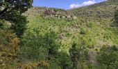 Trail Walking La Roque-Sainte-Marguerite - Roquesalte depuis la roque st marguerite - Photo 11