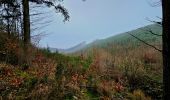Trail Walking Marche-en-Famenne - Marche Adeps à Waha - Marche-en-Famenne - Photo 10