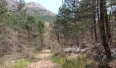 Trail Walking Saint-Vallier-de-Thiey - montagne de Thiey-forêt de Nans-19-04-23 - Photo 16